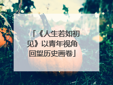《人生若如初见》以青年视角回望历史画卷