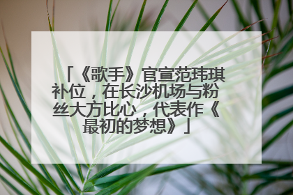 《歌手》官宣范玮琪补位，在长沙机场与粉丝大方比心，代表作《最初的梦想》