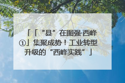 「“县”在图强·西峰①」集聚成势！工业转型升级的“西峰实践”