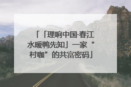 「理响中国·春江水暖鸭先知」一家“村咖”的共富密码