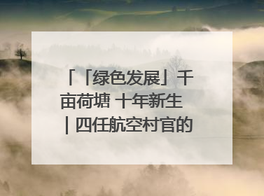 「绿色发展」千亩荷塘 十年新生｜四任航空村官的“生态接力”
