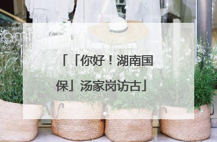 「你好！湖南国保」汤家岗访古