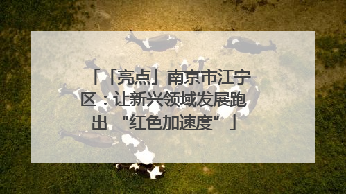 「亮点」南京市江宁区：让新兴领域发展跑出 “红色加速度”