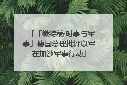 「微特稿·时事与军事」德国总理批评以军在加沙军事行动