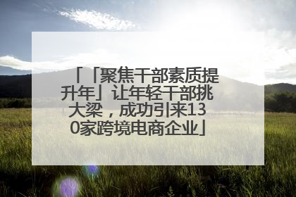 「聚焦干部素质提升年」让年轻干部挑大梁，成功引来130家跨境电商企业