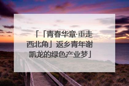 「青春华章·重走西北角」返乡青年谢凯龙的绿色产业梦