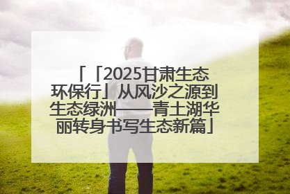 「2025甘肃生态环保行」从风沙之源到生态绿洲——青土湖华丽转身书写生态新篇