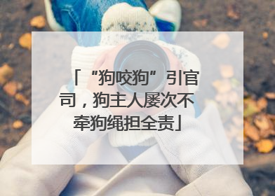 “狗咬狗”引官司，狗主人屡次不牵狗绳担全责