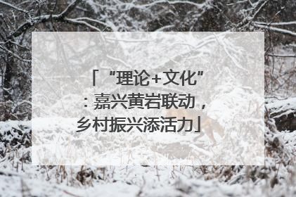 “理论+文化”：嘉兴黄岩联动，乡村振兴添活力