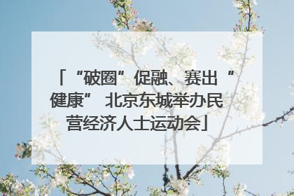 “破圈”促融、赛出“健康” 北京东城举办民营经济人士运动会