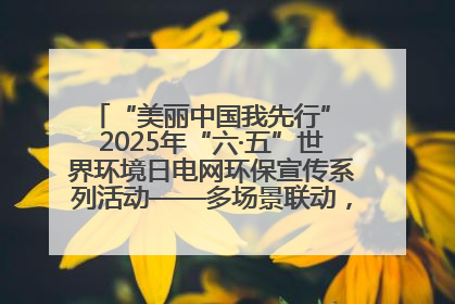 “美丽中国我先行” 2025年“六·五”世界环境日电网环保宣传系列活动——多场景联动，共筑生态发展新图景