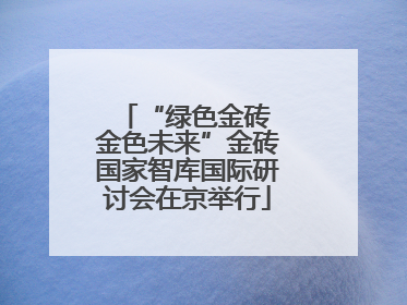 “绿色金砖 金色未来”金砖国家智库国际研讨会在京举行