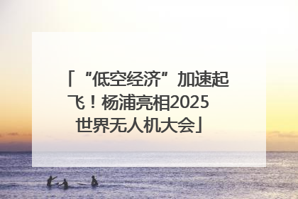 “低空经济”加速起飞！杨浦亮相2025世界无人机大会