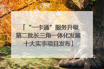 “一卡通”服务升级 第二批长三角一体化发展十大实事项目发布
