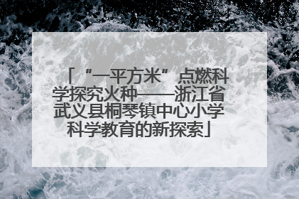“一平方米”点燃科学探究火种——浙江省武义县桐琴镇中心小学科学教育的新探索