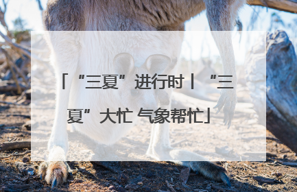 “三夏”进行时丨“三夏”大忙 气象帮忙