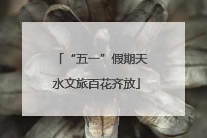 “五一”假期天水文旅百花齐放