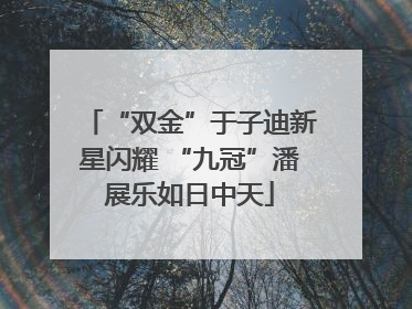 “双金”于子迪新星闪耀 “九冠”潘展乐如日中天