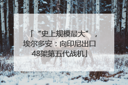 “史上规模最大”，埃尔多安：向印尼出口48架第五代战机