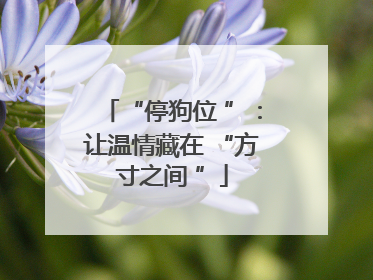 “停狗位 ”：让温情藏在 “方寸之间 ”