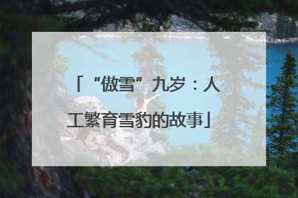 “傲雪”九岁：人工繁育雪豹的故事