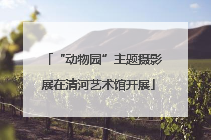 “动物园”主题摄影展在清河艺术馆开展