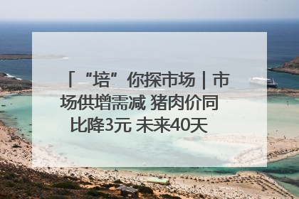“培”你探市场｜市场供增需减 猪肉价同比降3元 未来40天便宜猪肉敞开吃