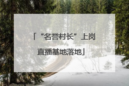 “名誉村长”上岗 直播基地落地