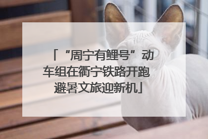 “周宁有鲤号”动车组在衢宁铁路开跑 避暑文旅迎新机