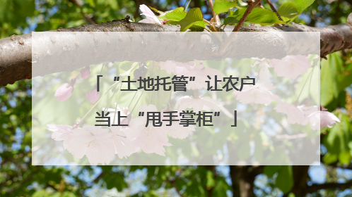 “土地托管”让农户当上“甩手掌柜”