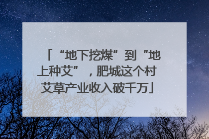 “地下挖煤”到“地上种艾”，肥城这个村艾草产业收入破千万