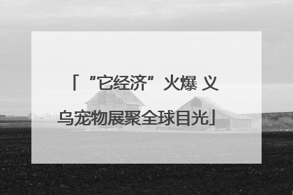 “它经济”火爆 义乌宠物展聚全球目光