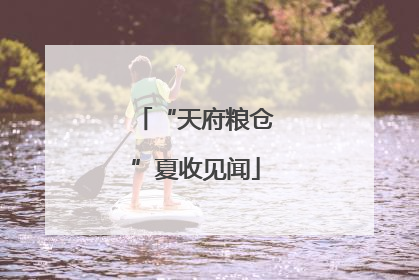“天府粮仓”夏收见闻