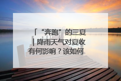 “奔跑”的三夏｜降雨天气对夏收有何影响？该如何防范？一文了解