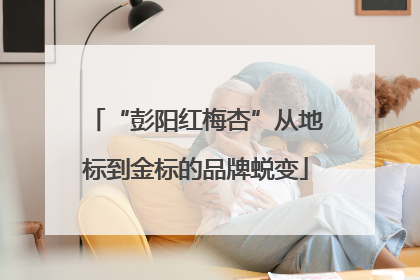 “彭阳红梅杏”从地标到金标的品牌蜕变