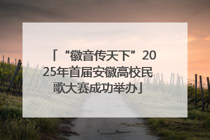 “徽音传天下”2025年首届安徽高校民歌大赛成功举办