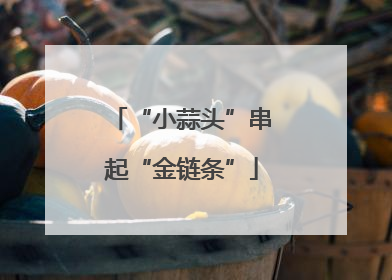 “小蒜头”串起“金链条”