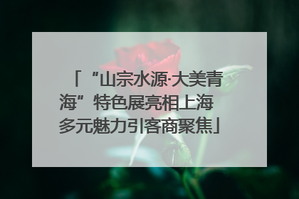 “山宗水源·大美青海”特色展亮相上海 多元魅力引客商聚焦