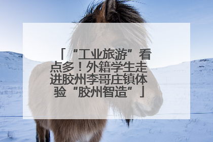 “工业旅游”看点多！外籍学生走进胶州李哥庄镇体验“胶州智造”