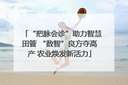 “把脉会诊”助力智慧田管 “数智”良方夺高产 农业焕发新活力