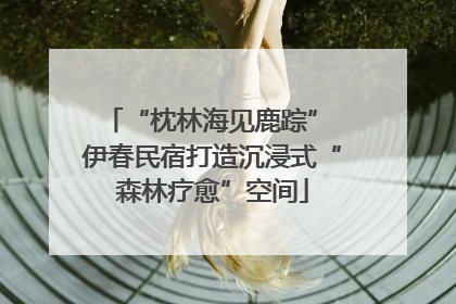 “枕林海见鹿踪” 伊春民宿打造沉浸式“森林疗愈”空间