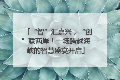 “智”汇嘉兴，“创”联两岸！一场跨越海峡的智慧盛宴开启