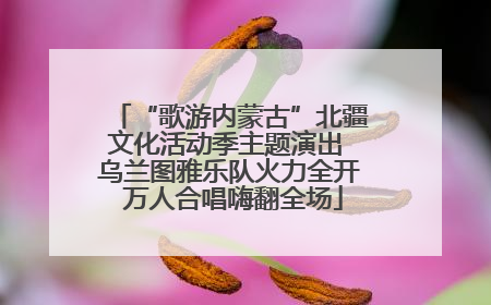 “歌游内蒙古”北疆文化活动季主题演出 乌兰图雅乐队火力全开 万人合唱嗨翻全场