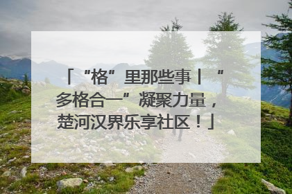 “格”里那些事丨“多格合一”凝聚力量，楚河汉界乐享社区！