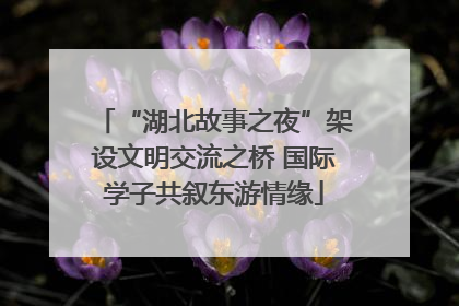 “湖北故事之夜”架设文明交流之桥 国际学子共叙东游情缘