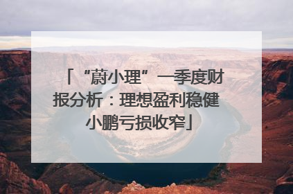 “蔚小理”一季度财报分析：理想盈利稳健 小鹏亏损收窄