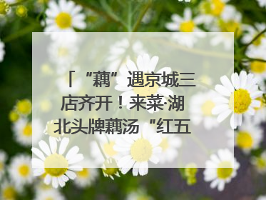 “藕”遇京城三店齐开！来菜·湖北头牌藕汤“红五月”再掀荆楚美食文化风暴