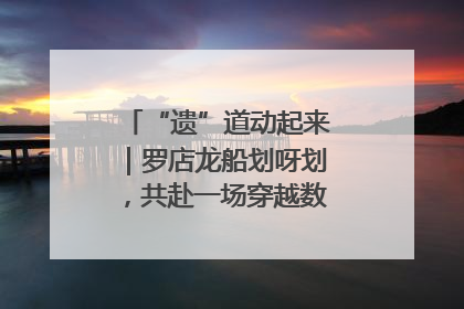 “遗”道动起来｜罗店龙船划呀划，共赴一场穿越数百年的端午之约