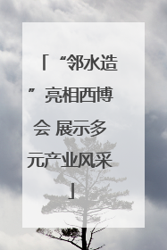 “邻水造”亮相西博会 展示多元产业风采