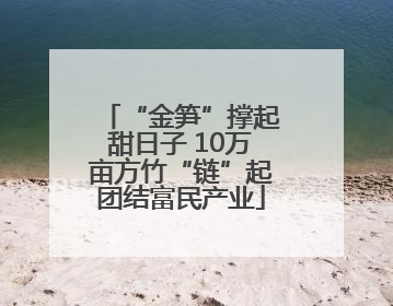 “金笋”撑起甜日子 10万亩方竹“链”起团结富民产业